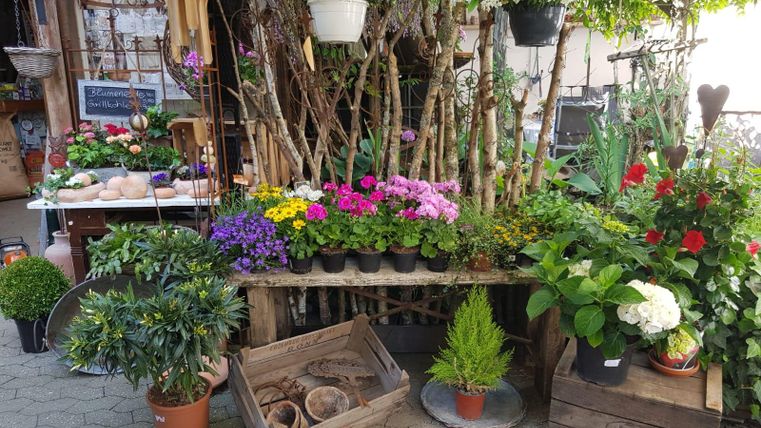 A lovely flower stall with colorful plants and flowers in various pots. In the background, decorative natural materials can be seen.