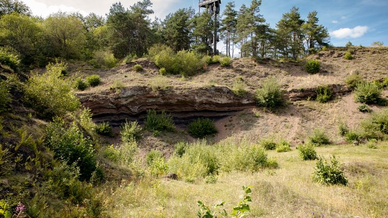 Landscape with an observation tower and a wooded hill.