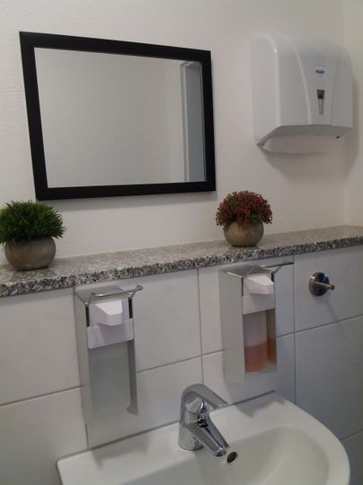 A modern bathroom with a sink, a mirror, and soap dispensers. On the shelf are two plants.