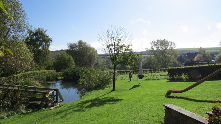 Eine grüne Wiese mit einem kleinen Teich und Bäumen. Im Hintergrund ist ein klarer blauer Himmel zu sehen.