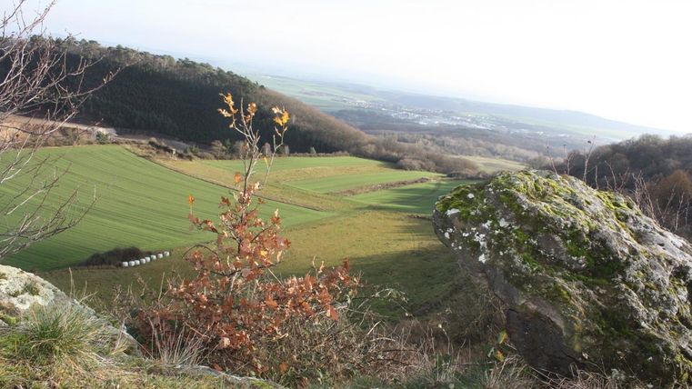 A picturesque landscape with green fields and gentle hills. In the foreground, there is a small tree and a large rock.