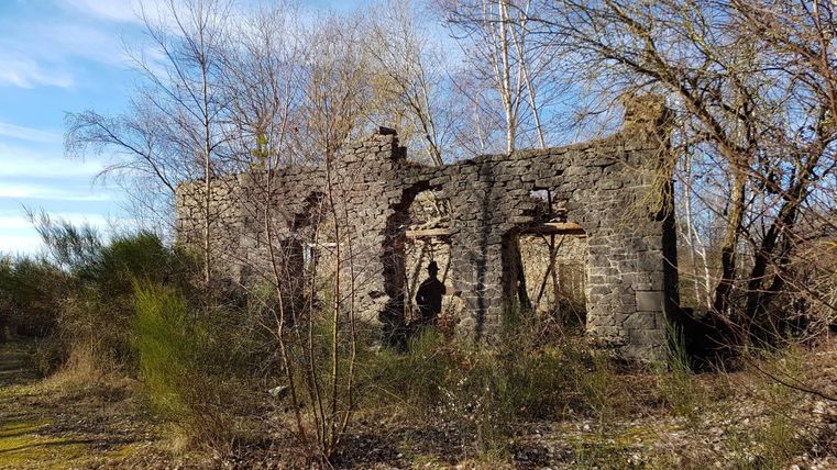 Eine verfallene Ruine inmitten von wildem Grün und Sträuchern. Der Himmel ist klar und die umgebende Natur gibt der Szene ein geheimnisvolles Gefühl.