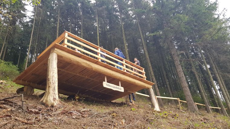 Eine Aussichtsplattform im Wald, umgeben von hohen Bäumen. Zwei Personen stehen auf der Plattform und genießen die Aussicht.