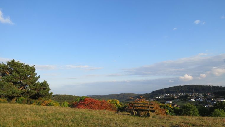 Landscape with meadow, trees and a bench in the foreground, village in the background.