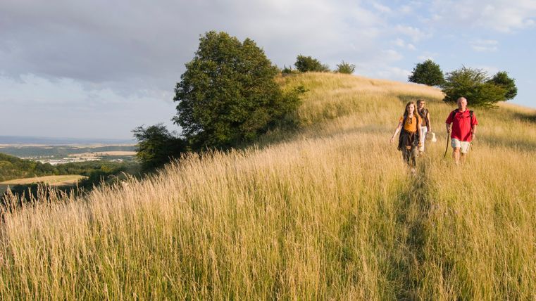 Three people hiking on a grassy hill path in sunny weather.