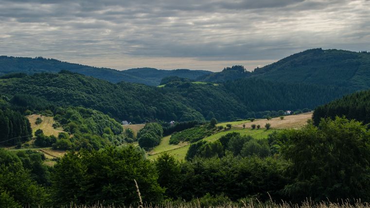Landschaft mit grünen Hügeln und bewölktem Himmel.