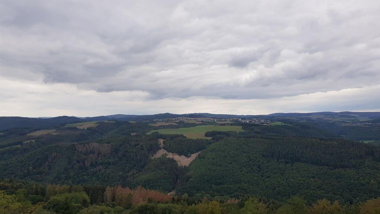 Eine weite Landschaft mit grünen Hügeln und bewölktem Himmel. Die Szenerie ist ruhig und natürlich.