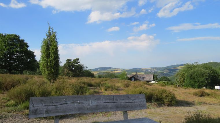 Eine Holzbank steht in einer ruhigen Landschaft mit sanften Hügeln und Bäumen. Der Himmel ist blau mit einigen Wolken.