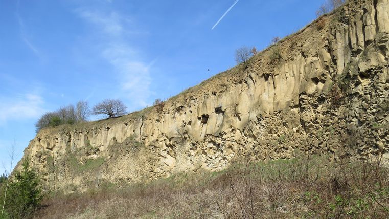Eine steile Felswand unter einem klaren blauen Himmel. Im Vordergrund wachsen einige Sträucher und Gras.