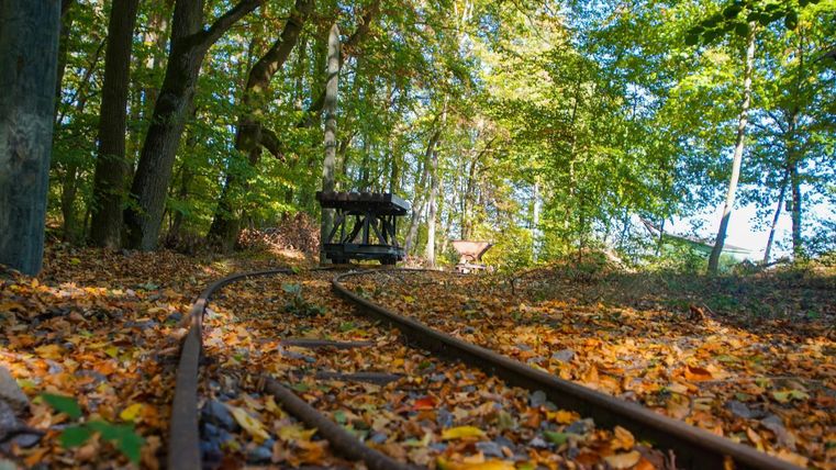 Ein ruhiger Wald mit buntem Herbstlaub und alten Schienen. Im Hintergrund ist ein Waggon zu sehen, der zwischen den Bäumen steht.
