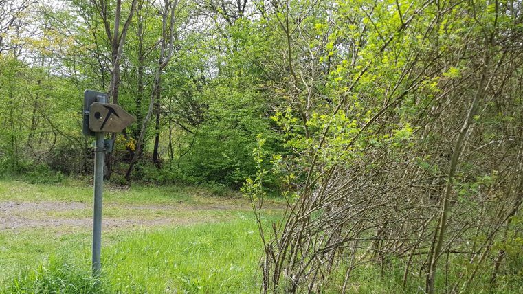 Ein Wegweiser in einer grünen, bewaldeten Umgebung. Umgeben von frischem Blattwerk und Wiese.