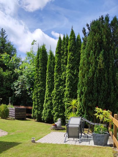 Ein schöner Garten mit Terrasse lädt Sie zum entspannen ein.