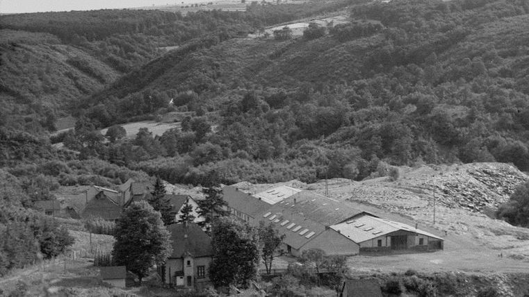 Eine malerische Landschaft mit sanften Hügeln und bewaldeten Flächen. Im Vordergrund sind einige Gebäude zu sehen, die in die natürliche Umgebung eingebettet sind.