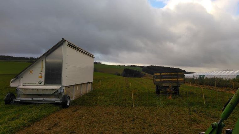 A mobile chicken coop is standing in a field, surrounded by green meadows. In the background, clouds and an agricultural machine can be seen.