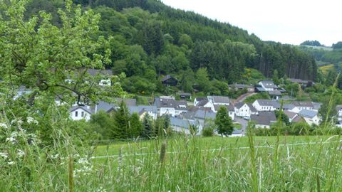 Eine ruhige Landschaft mit grünen Wiesen und einem kleinen Dorf im Hintergrund. Die Umgebung ist von Bäumen und Hügeln umgeben.