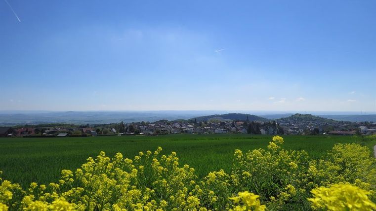 Eine grüne Landschaft mit leuchtend gelben Blumen im Vordergrund. Im Hintergrund sind sanfte Hügel und ein klarer blauer Himmel zu sehen.