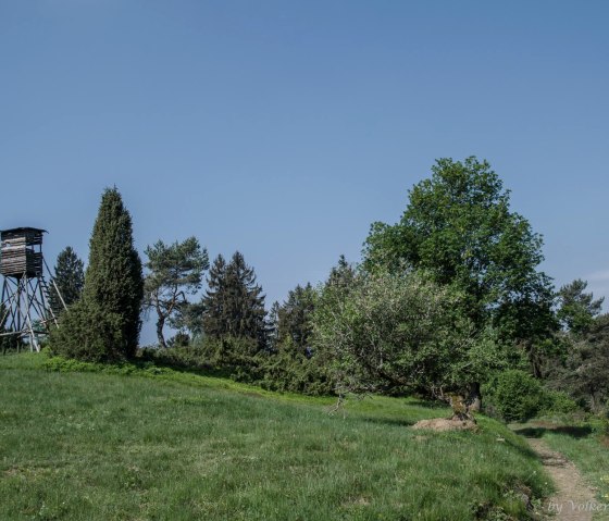 Un perchoir le long du chemin, &copy; Volker Windheuser