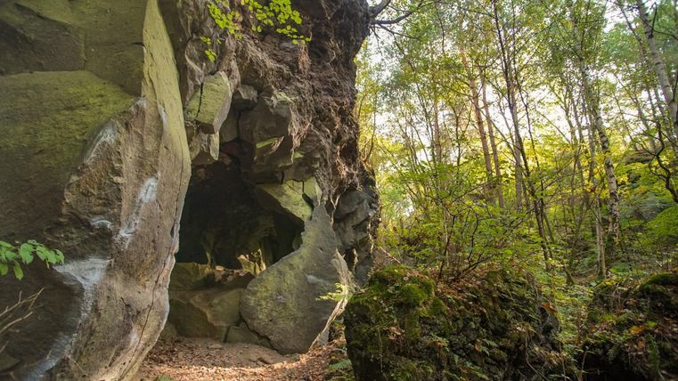 Eine beeindruckende Höhle umgeben von dichtem, grünem Wald. Der Weg führt durch die natürliche Landschaft mit sanftem Licht, das durch die Bäume strahlt.
