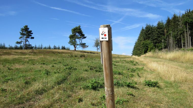 A wooden post with a signpost showing a red dot stands in a meadow under a blue sky. Trees can be seen in the background.