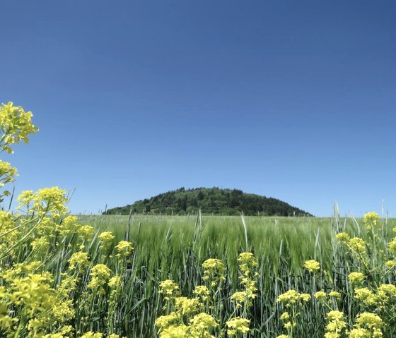 Blick auf den Hochsimmer, &copy; Foto: Svenja Schulze-Entrup, Quelle: Touristik-B&uuml;ro Vordereifel