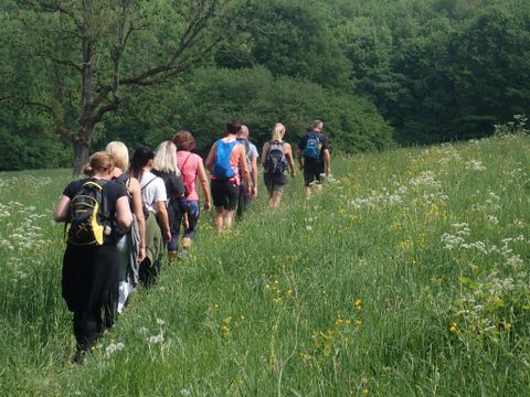 Eine Gruppe von Menschen wandert durch eine grüne Wiese. Im Hintergrund sind Bäume und der blauer Himmel zu sehen.