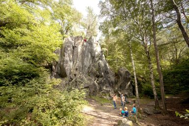 Eine Gruppe von Menschen steht vor einem großen Felsen im Wald. Umgeben von grünen Bäumen und strahlendem Licht zeigt die Szene die Schönheit der Natur.