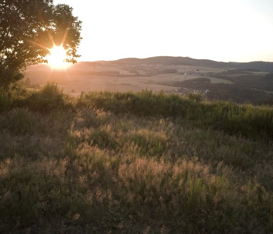 Ein Sonnenuntergang &uuml;ber einer Heidelandschaft, mit einem Baum im Vordergrund. Die Sonne strahlt durch die Bl&auml;tter und taucht die Szene in warmes Licht., &copy; Traumpfade/Kappest