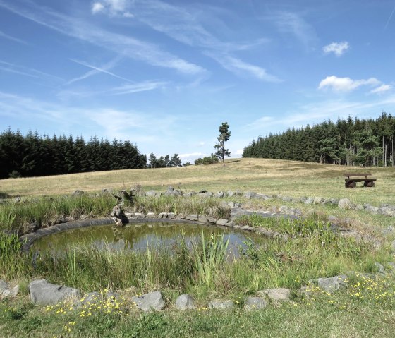 Ein kleiner Teich in einer Wiesenlandschaft, umgeben von Steinen und Pflanzen. Im Hintergrund sind B&auml;ume und eine Bank zu sehen., &copy; Svenja Schulze-Entrup