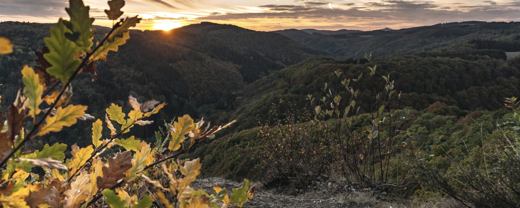Sonnenuntergang am Nitzblick, © Foto: Laura Rinneburger, Quelle: Touristik-Büro Vordereifel