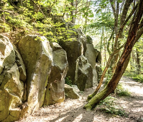 Vulkanische Felsformationen im Kottenheimer Winfeld, umgeben von dichtem Wald. Sonnenlicht f&auml;llt durch die Bl&auml;tter und beleuchtet die Felsen., &copy; Eifel Tourismus GmbH, Dominik Ketz