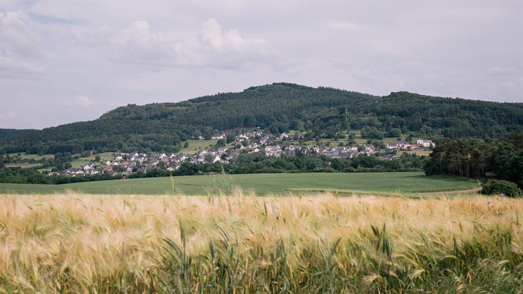 A green landscape with rolling fields and a small village in the background. The gentle hills are visible under a cloudy sky.