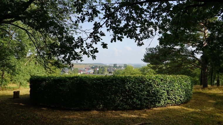 Ein runder Buchenhecken mit Blick auf eine ländliche Landschaft. Umgeben von Bäumen in einem ruhigen, grünen Umfeld.