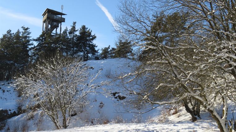 Ein winterlicher Landschaft mit schneebedeckten Bäumen und einem Aussichtsturm im Hintergrund. Der Himmel ist blau und klar.