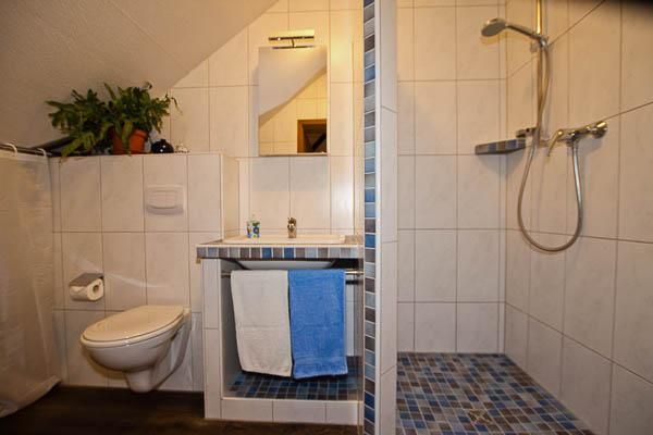 Ein modernes Badezimmer mit einer Dusche und einer Toilette. Die Wände sind gefliest, und es gibt Pflanzen auf der Ablage.
