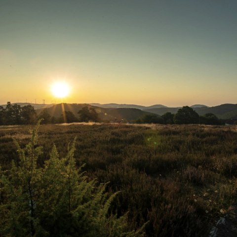 Sonnenaufgang in Langscheid, © Laura Rinneburger