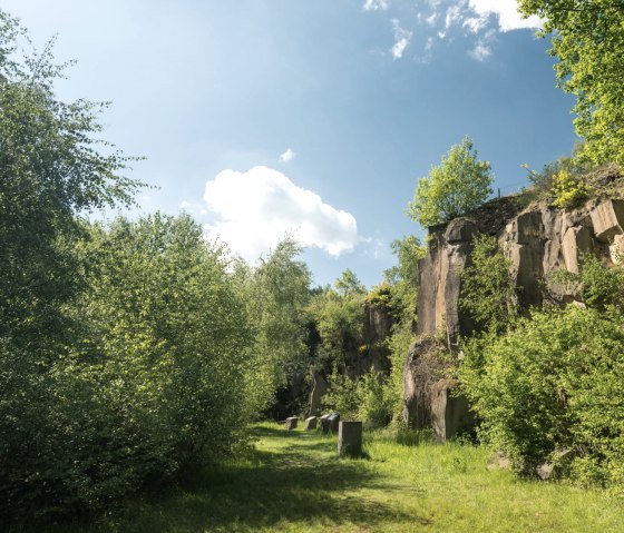 Felswand im Mayener Grubenfeld am Vulkanpark-Radweg, &copy; Rheinland-Pfalz Tourismus GmbH, D. Ketz