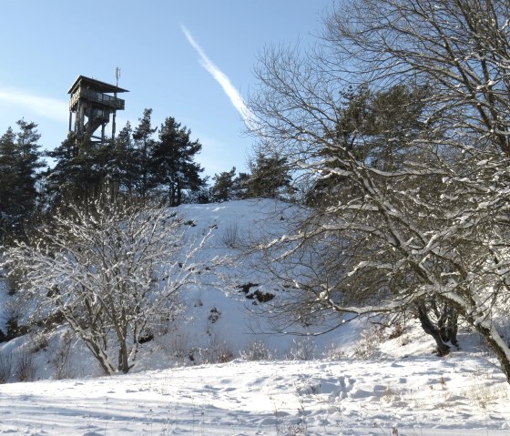 Boos im Winter, &copy; Foto: Svenja Schulze-Entrup, Quelle: Touristik-B&uuml;ro Vordereifel