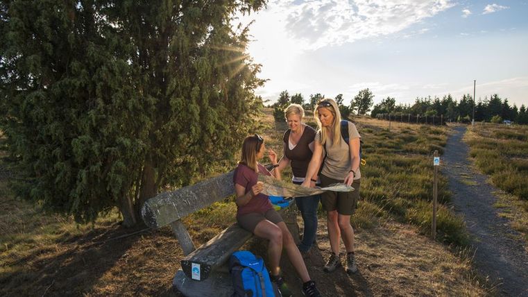 Three women look at a map on a bench in a rural landscape.