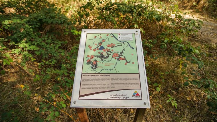 Ein Informationsschild mit einer Karte zeigt Wanderwege in einem Waldgebiet. Umgeben von grünen Pflanzen und Bäumen.