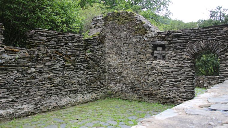 Ruin of an old stone wall surrounded by trees. The ground is covered with green plants.