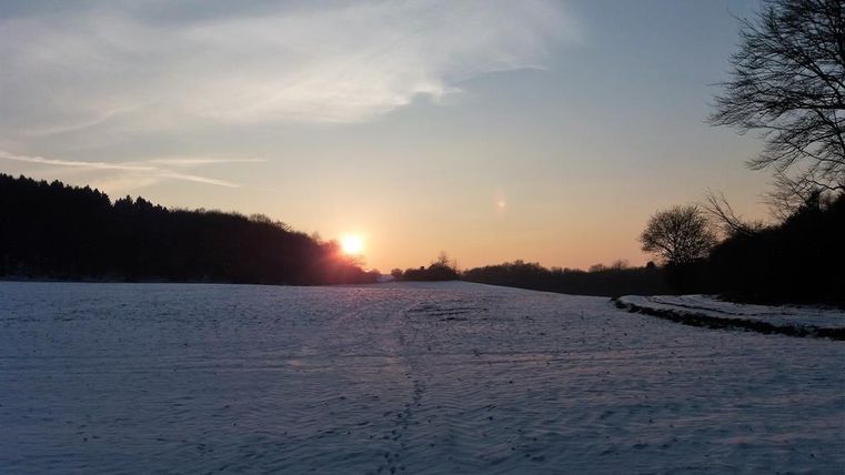 A snowy field at sunset. The sky is clear with soft colors.