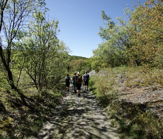 Eine Gruppe von Wanderern geht auf einem schmalen Waldweg, umgeben von gr&uuml;nen B&auml;umen, bei strahlend blauem Himmel., &copy; Laura Rinneburger