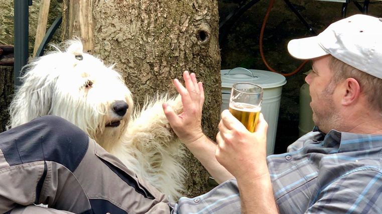 A man is sitting relaxed with a beer and communicating with a large dog. The dog is smiling and lifting its paw towards the man.