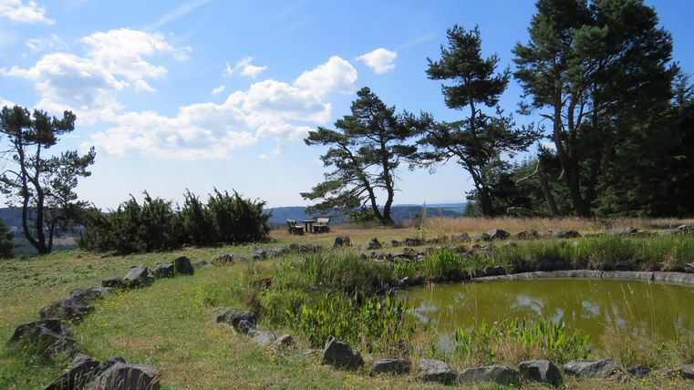Ein ruhiger Ort mit einem kleinen Teich umgeben von Gras und Felsen. Im Hintergrund sind Bäume und ein blauer Himmel zu sehen.