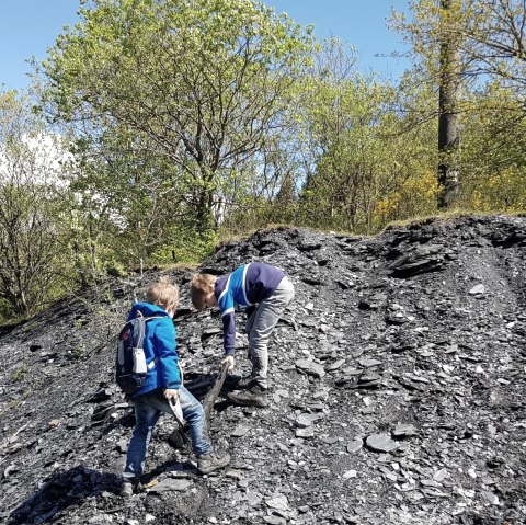 Erkunden der Schieferhalde, &copy; Foto: Svenja Schulze-Entrup, Quelle: Touristik-B&uuml;ro Vordereifel