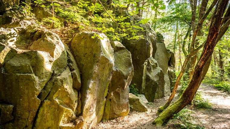 Volcanic rock formations in the forest at Kottenheimer Winfeld.