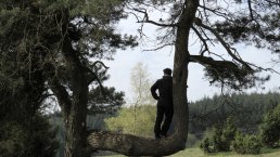Unterwegs auf dem Traumpfad Bergeheidenweg, &copy; Foto: Svenja Schulze-Entrup, Quelle: Touristik-B&uuml;ro Vordereifel