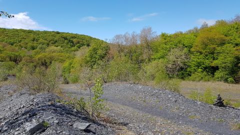 Eine grüne Landschaft mit sanften Hügeln und spärlichem Bewuchs. Im Vordergrund sind graue Steine und ein schmaler Weg sichtbar.