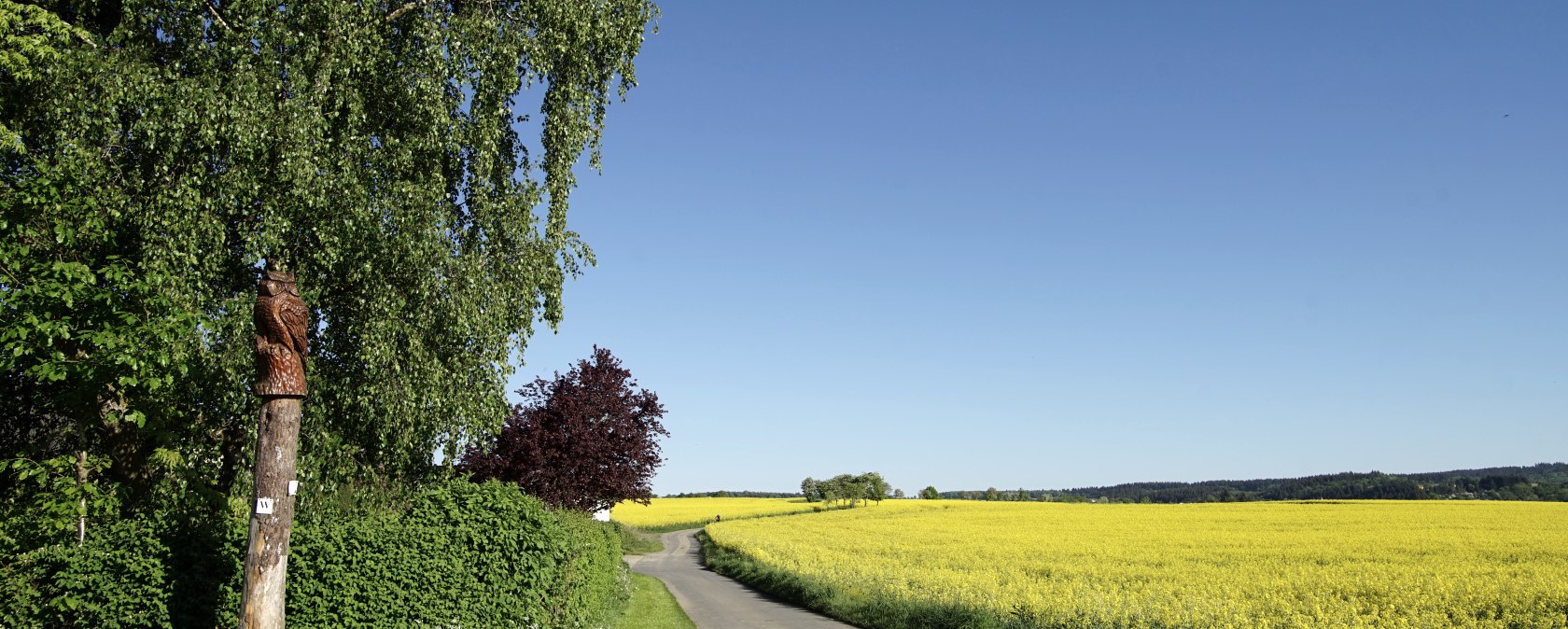 Wiesbachtalweg à Weiler/ Eifel, © Laura Rinneburger