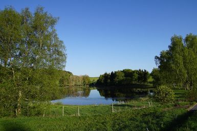 Ein ruhiger Teich umgeben von grünen Bäumen und Wiese. Der Himmel ist klar und blau.